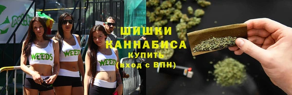 spice Новодвинск