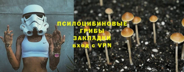 мяу мяу мука Белоозёрский